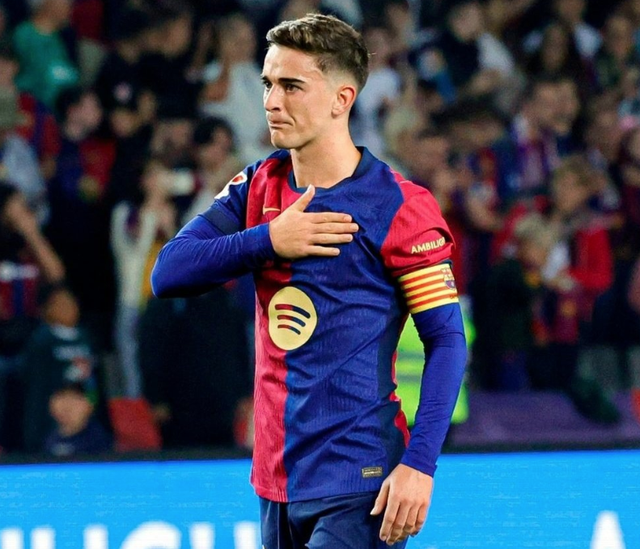 膝内侧半月, 认为